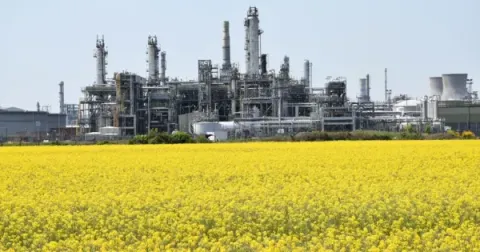 INEOS FPS With Yellow Flowers Credit INEOS FPS