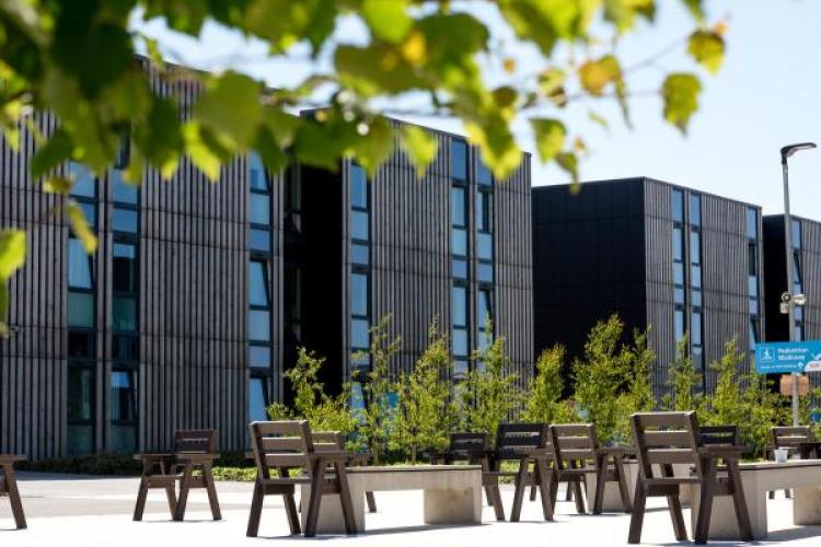 Hinkley Point C Campus