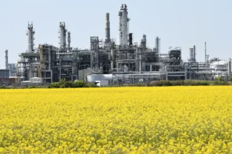 INEOS FPS With Yellow Flowers Credit INEOS FPS