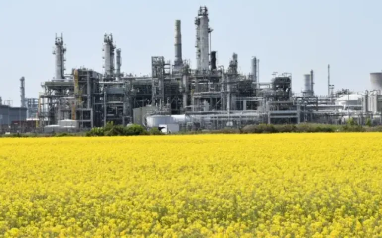 INEOS FPS With Yellow Flowers Credit INEOS FPS